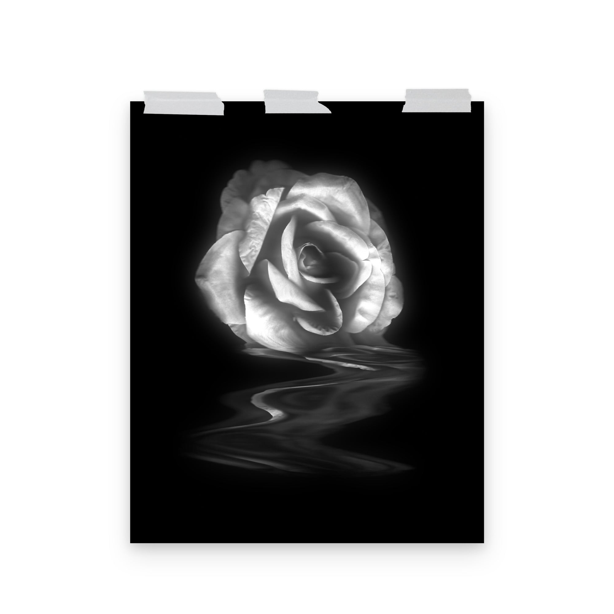 Becoming Real Silver Rose Scanner Art Enhanced Matte Photo Paper Print