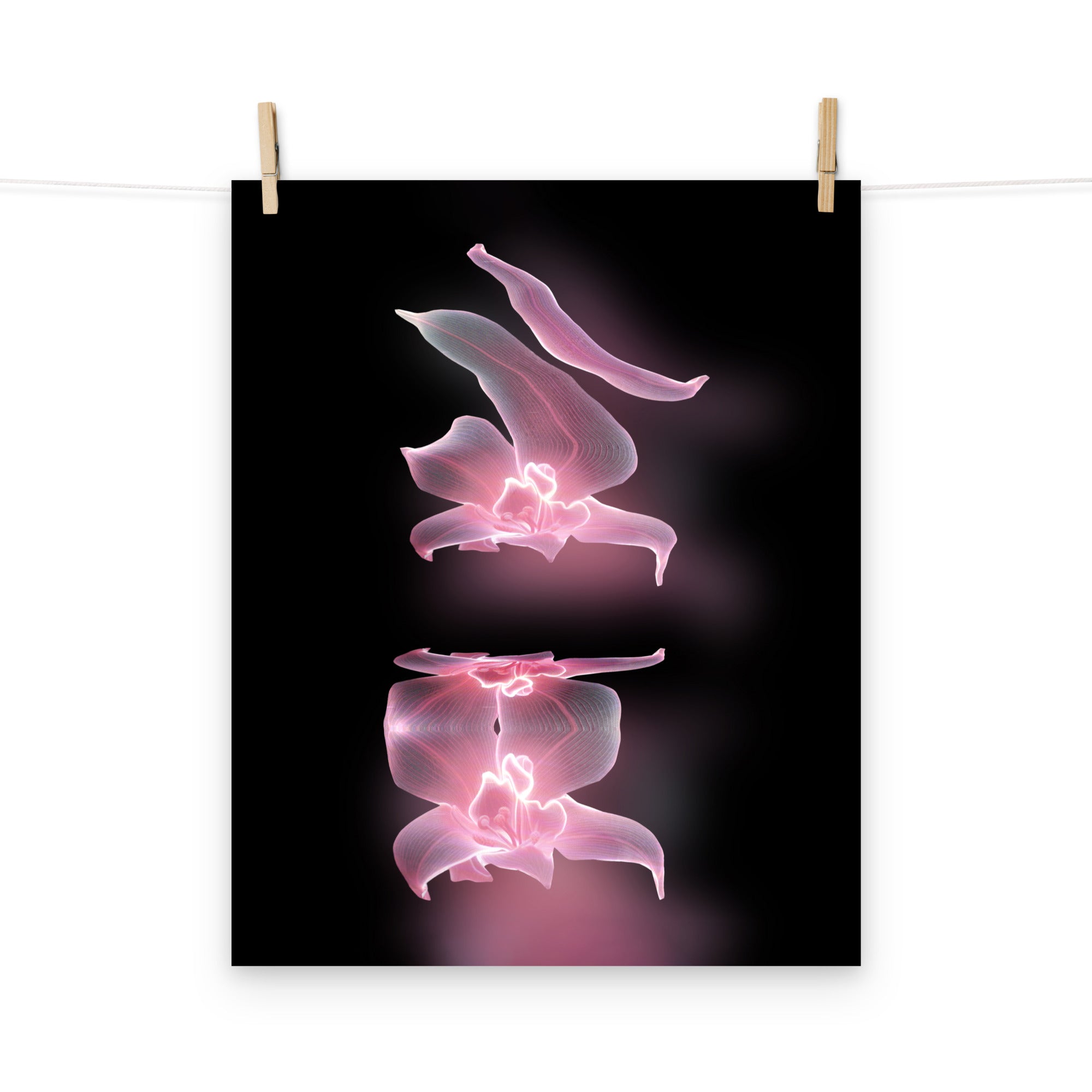 Phantom Bloom no. 2 Scanography Matte Photo Paper Print