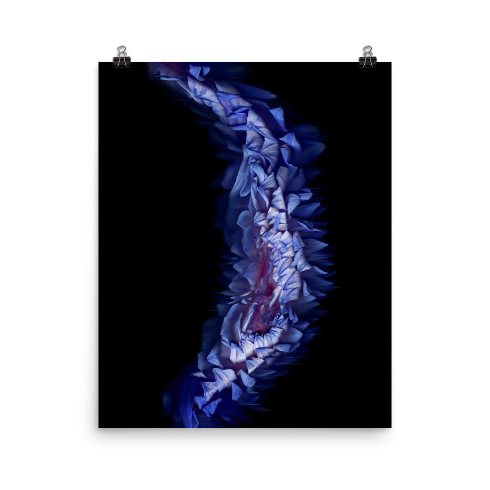 Stellar Dahlia no. 05 Scanography Enhanced Matte Photo Paper Print