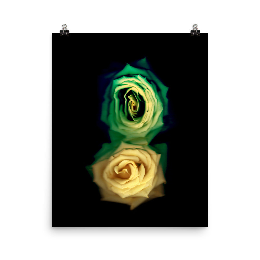 Green Fade Yellow Rose Scanography Enhanced Matte Photo Paper Print