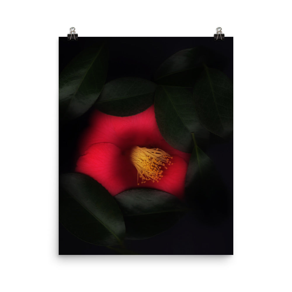 Romantic Camellia Scanography Enhanced Matte Photo Paper Print