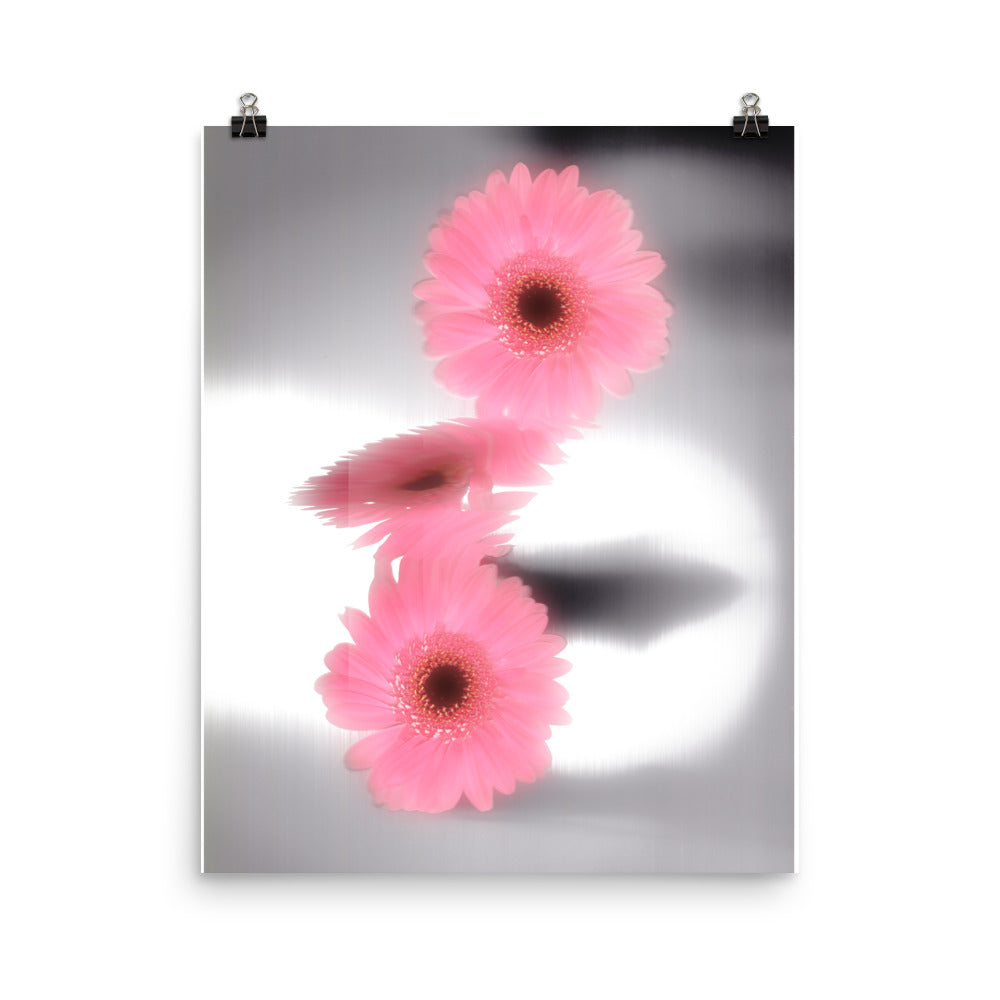 Pink Glow Gerbera Daisy Scanography Enhanced Matte Photo Paper Print