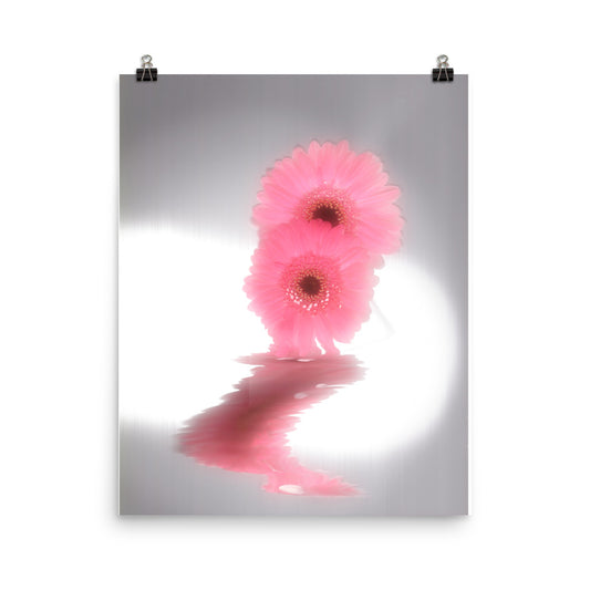 Fall Glow Pink Daisy Scanography Enhanced Matte Photo Paper Print