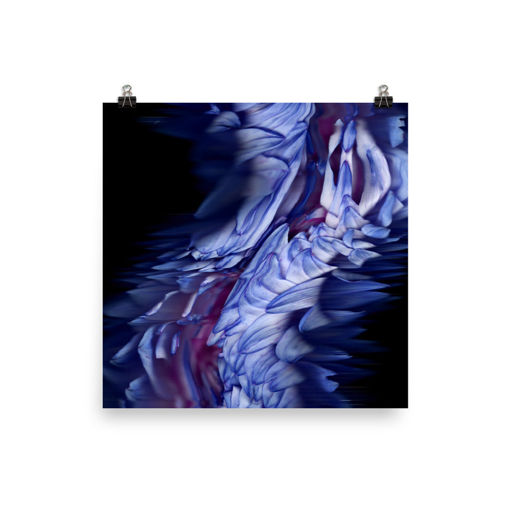 Stellar Dahlia no. 01 Scanography Enhanced Matte Photo Paper Print