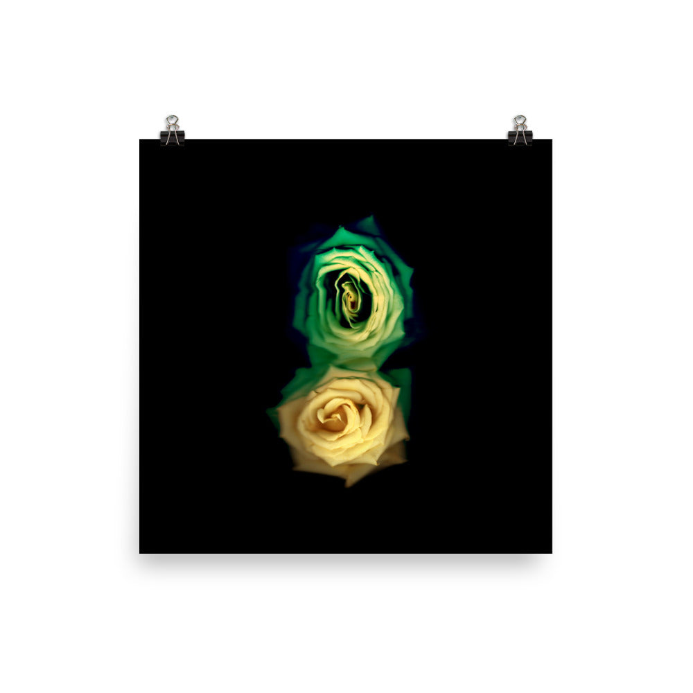 Green Fade Yellow Rose Scanography Enhanced Matte Photo Paper Print