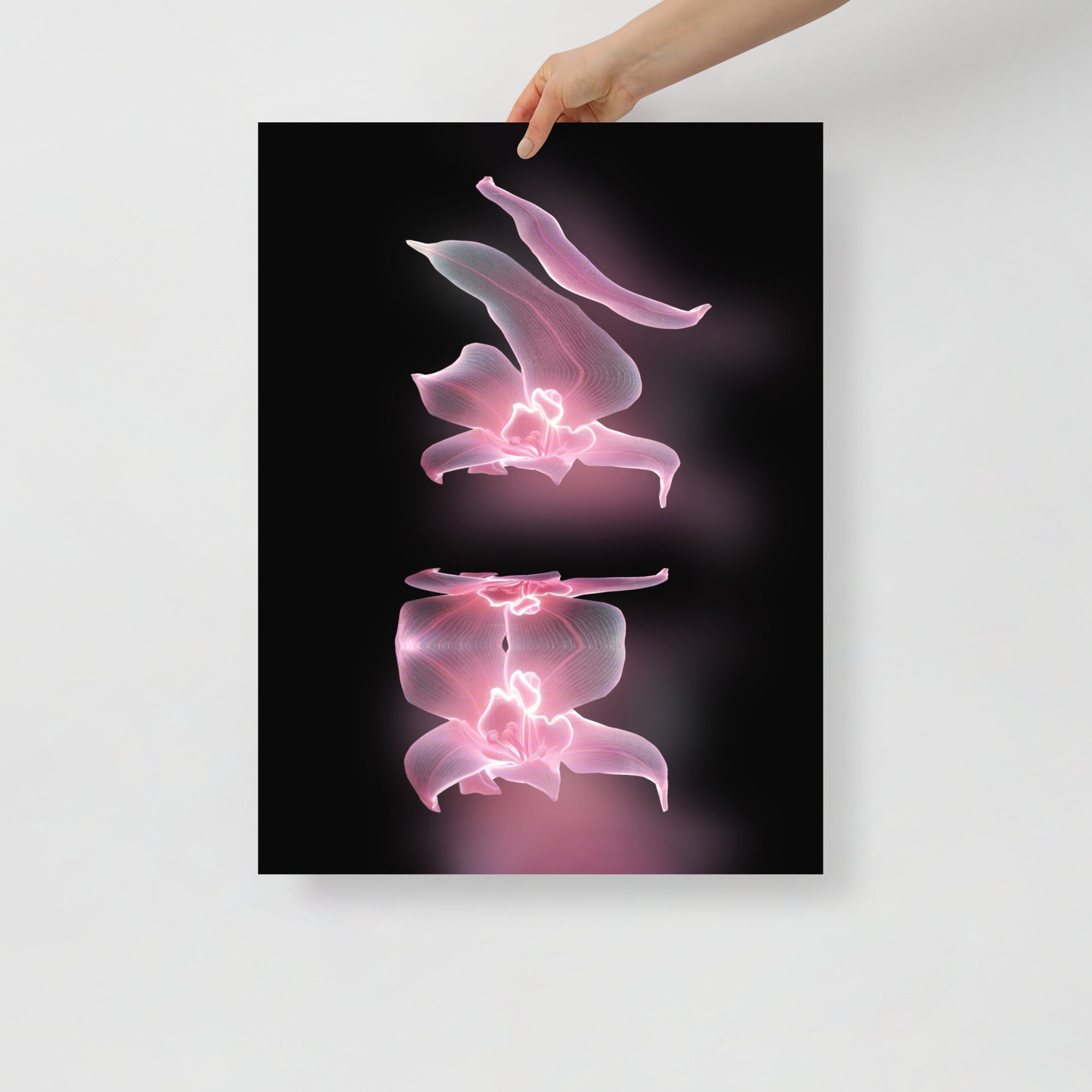 Phantom Bloom no. 2 Scanography Matte Photo Paper Print