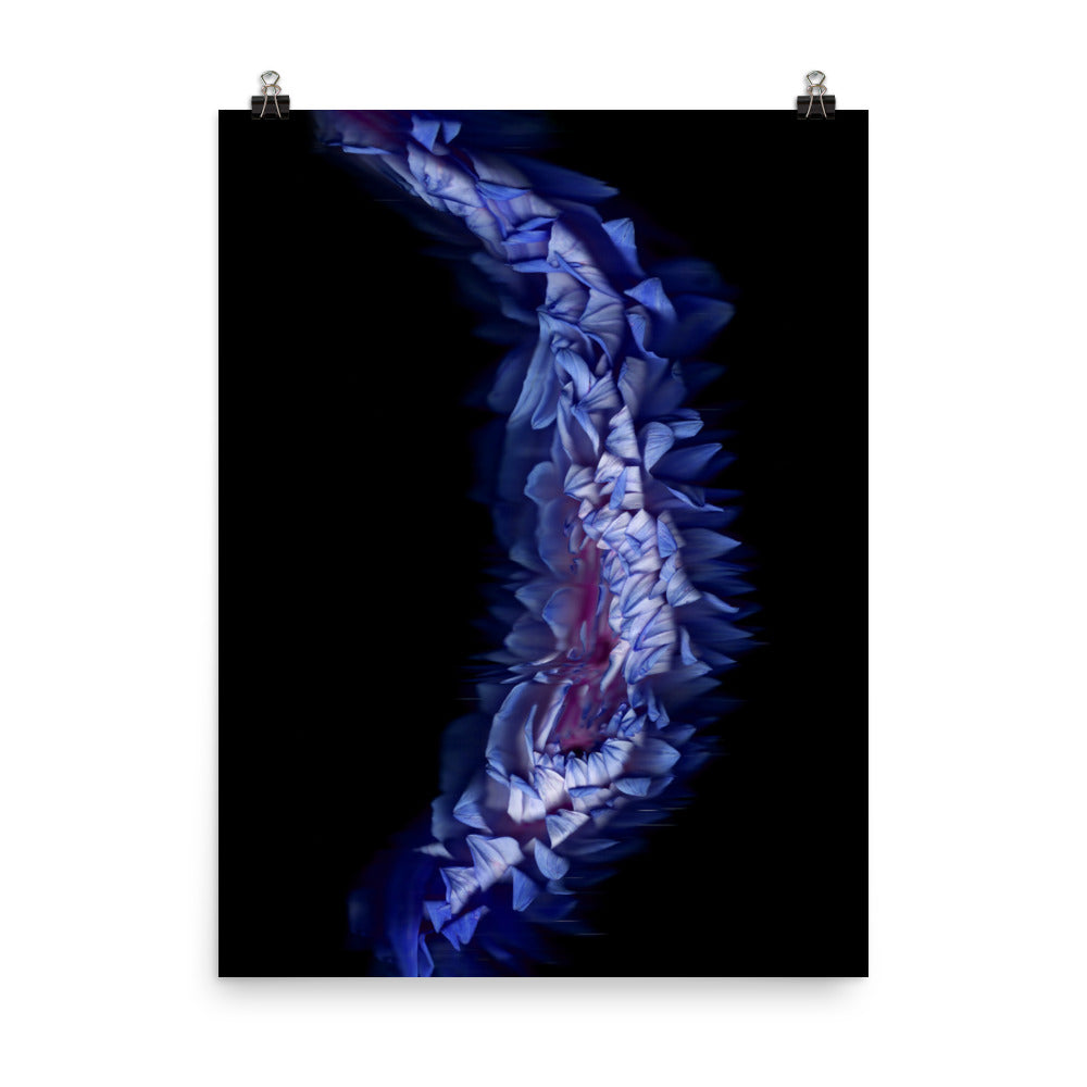 Stellar Dahlia no. 05 Scanography Enhanced Matte Photo Paper Print