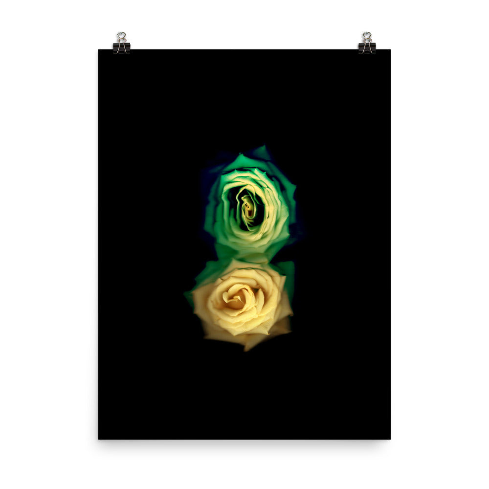 Green Fade Yellow Rose Scanography Enhanced Matte Photo Paper Print