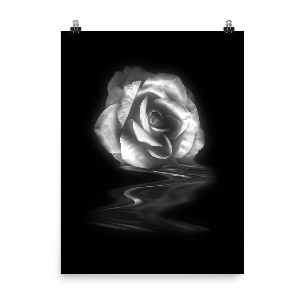Becoming Real Silver Rose Scanner Art Enhanced Matte Photo Paper Print