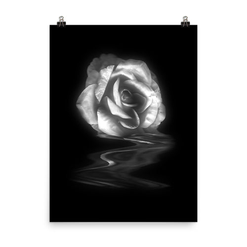 Becoming Real Silver Rose Scanner Art Enhanced Matte Photo Paper Print