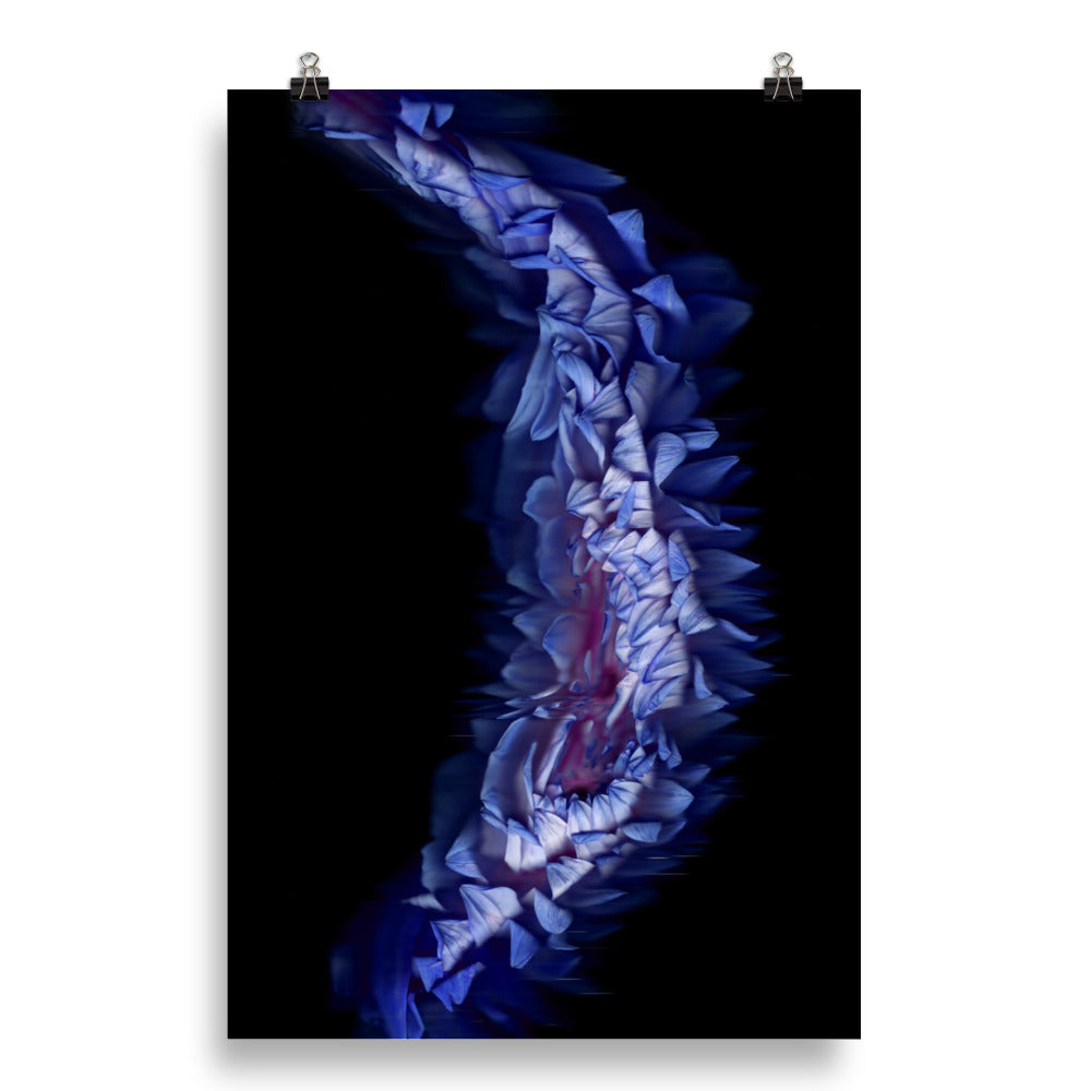 Stellar Dahlia no. 05 Scanography Enhanced Matte Photo Paper Print