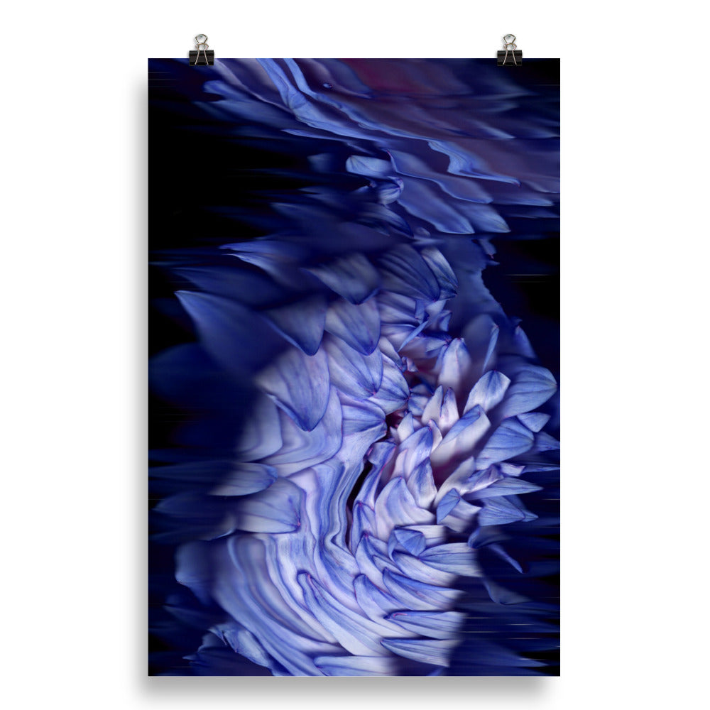 Stellar Dahlia no. 02 Scanography Enhanced Matte Photo Paper Print