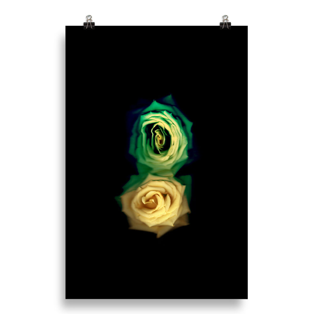 Green Fade Yellow Rose Scanography Enhanced Matte Photo Paper Print