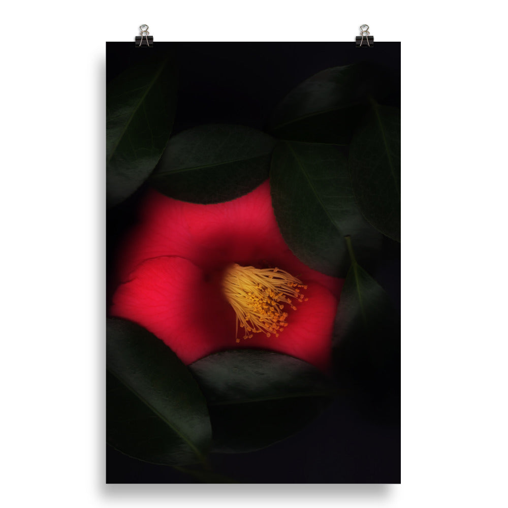 Romantic Camellia Scanography Enhanced Matte Photo Paper Print