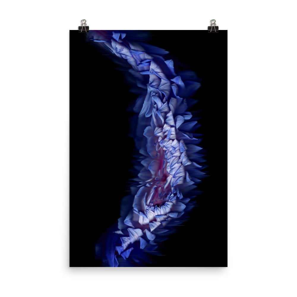 Stellar Dahlia no. 05 Scanography Enhanced Matte Photo Paper Print