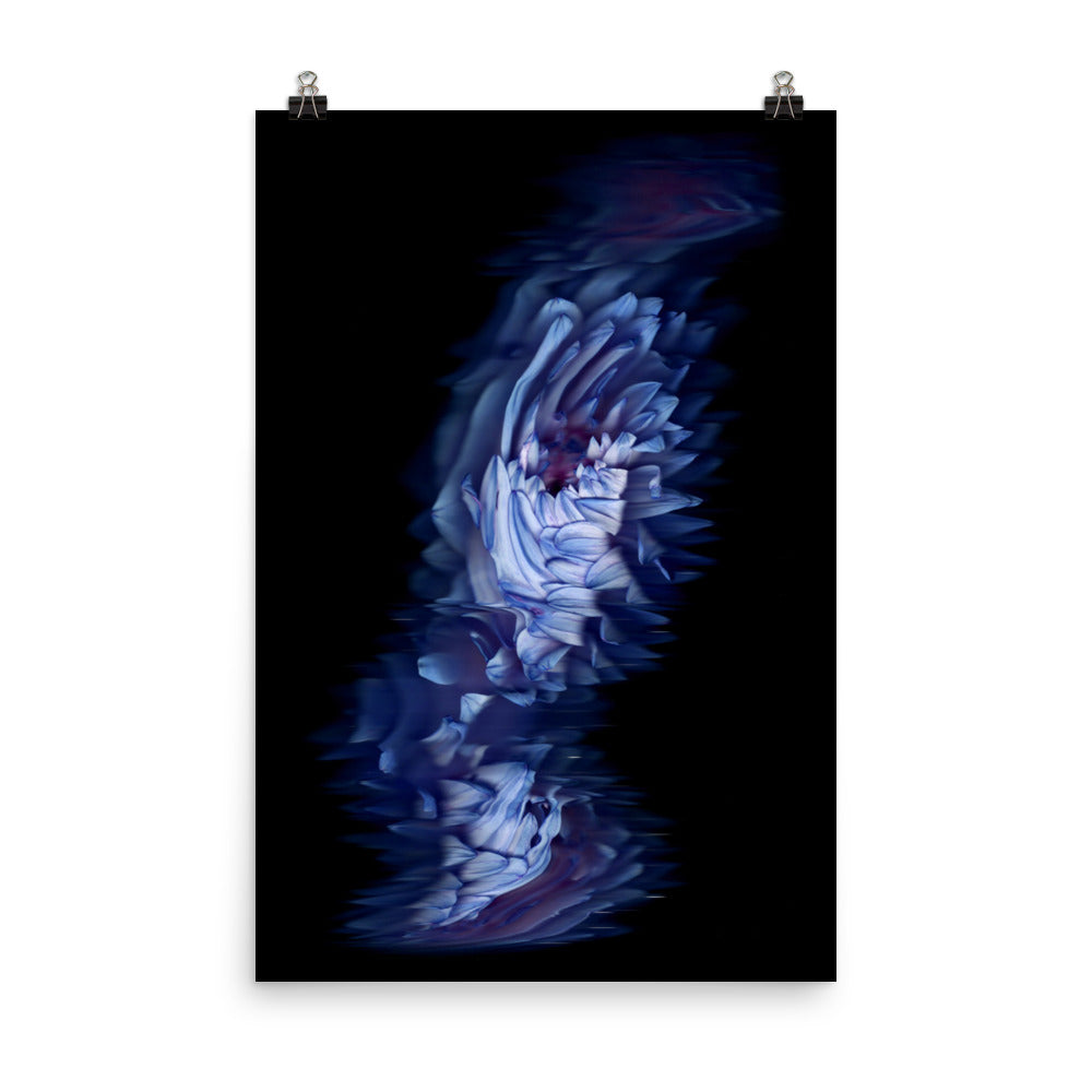 Stellar Dahlia no. 04 Scanography Enhanced Matte Photo Paper Print