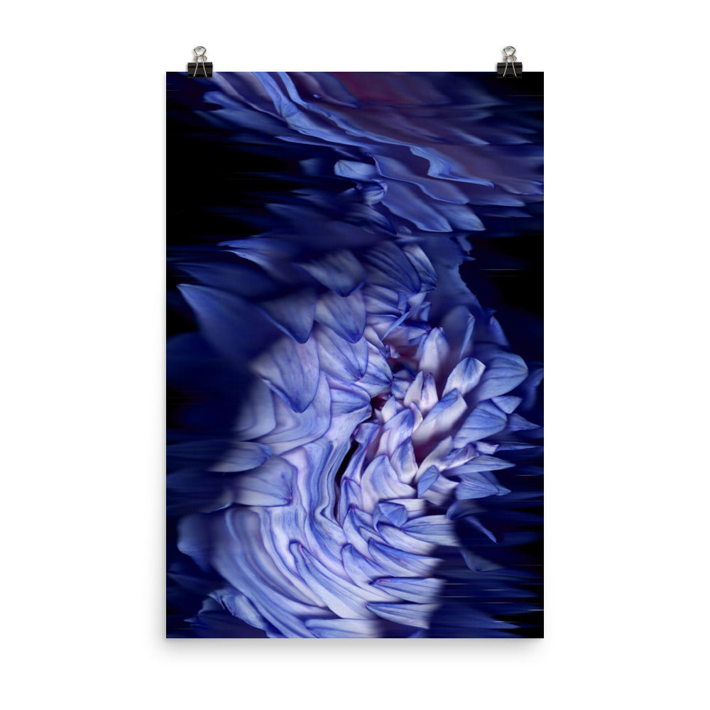 Stellar Dahlia no. 02 Scanography Enhanced Matte Photo Paper Print