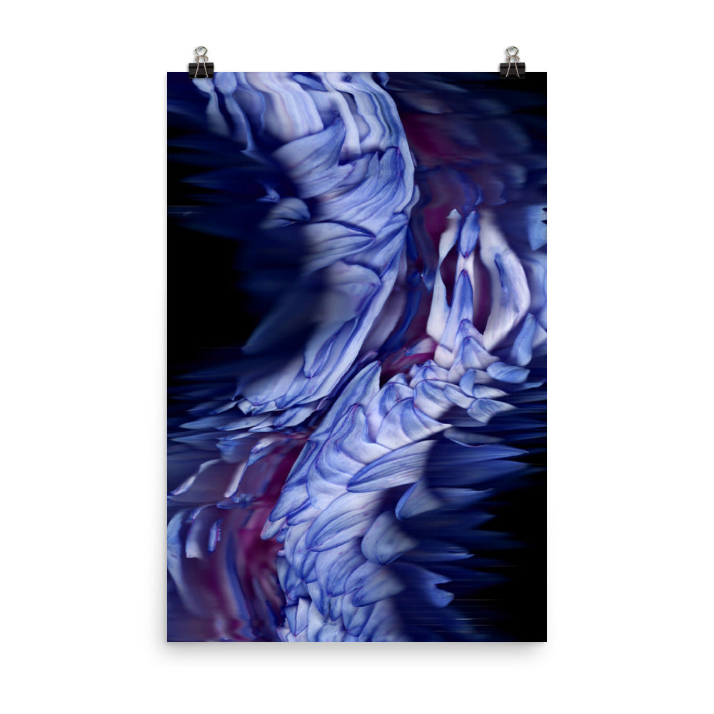 Stellar Dahlia no. 01 Scanography Enhanced Matte Photo Paper Print