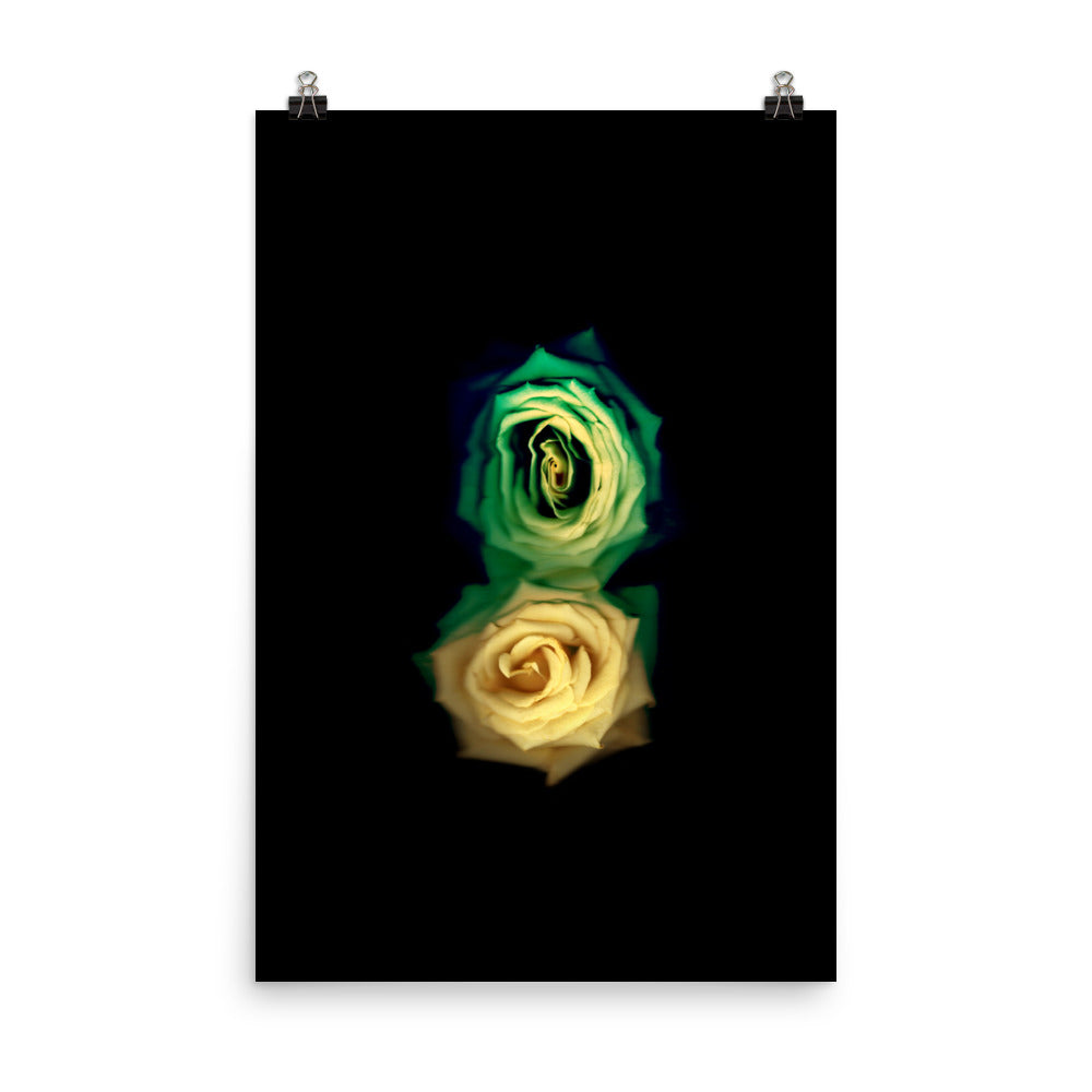 Green Fade Yellow Rose Scanography Enhanced Matte Photo Paper Print