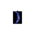 Stellar Dahlia no. 05 Scanography Enhanced Matte Photo Paper Print