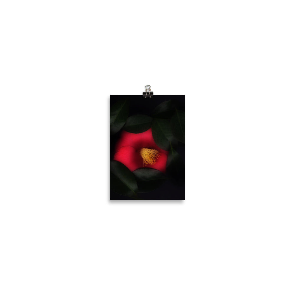 Romantic Camellia Scanography Enhanced Matte Photo Paper Print