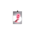 Fall Glow Pink Daisy Scanography Enhanced Matte Photo Paper Print
