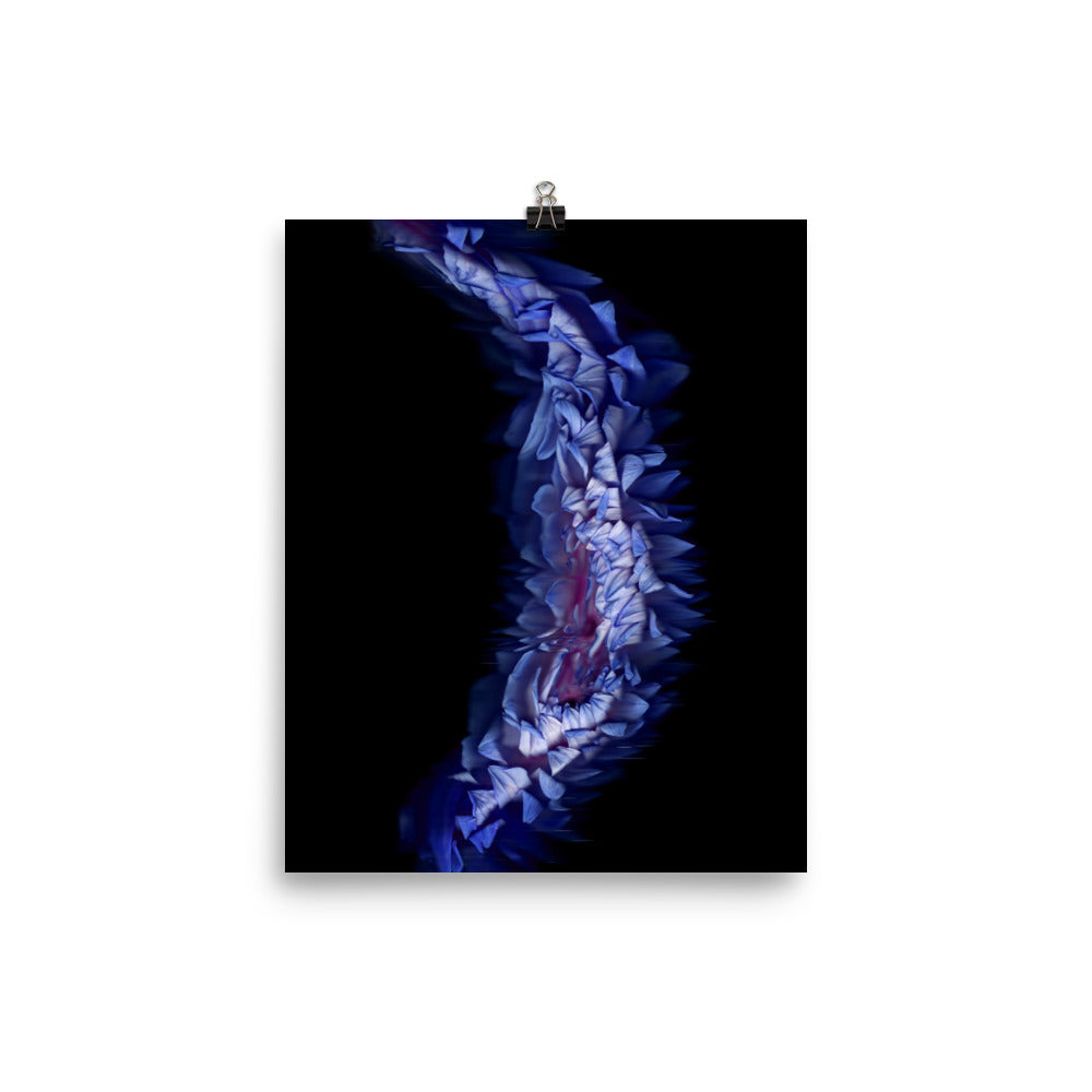 Stellar Dahlia no. 05 Scanography Enhanced Matte Photo Paper Print