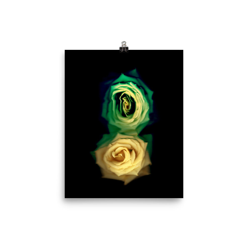 Green Fade Yellow Rose Scanography Enhanced Matte Photo Paper Print