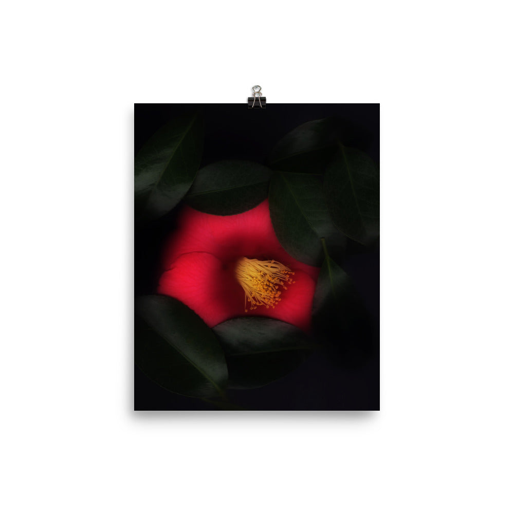 Romantic Camellia Scanography Enhanced Matte Photo Paper Print