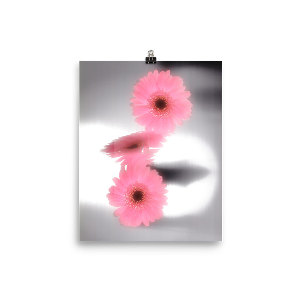 Pink Glow Gerbera Daisy Scanography Enhanced Matte Photo Paper Print