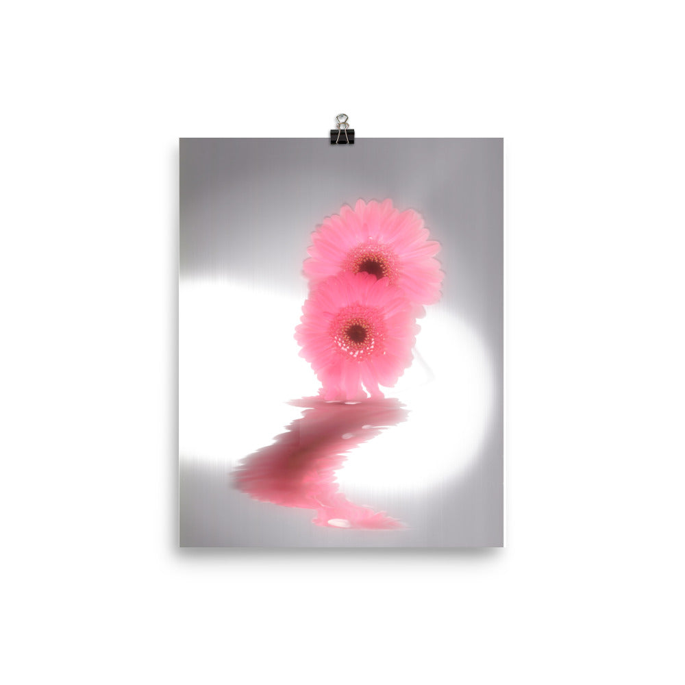 Fall Glow Pink Daisy Scanography Enhanced Matte Photo Paper Print
