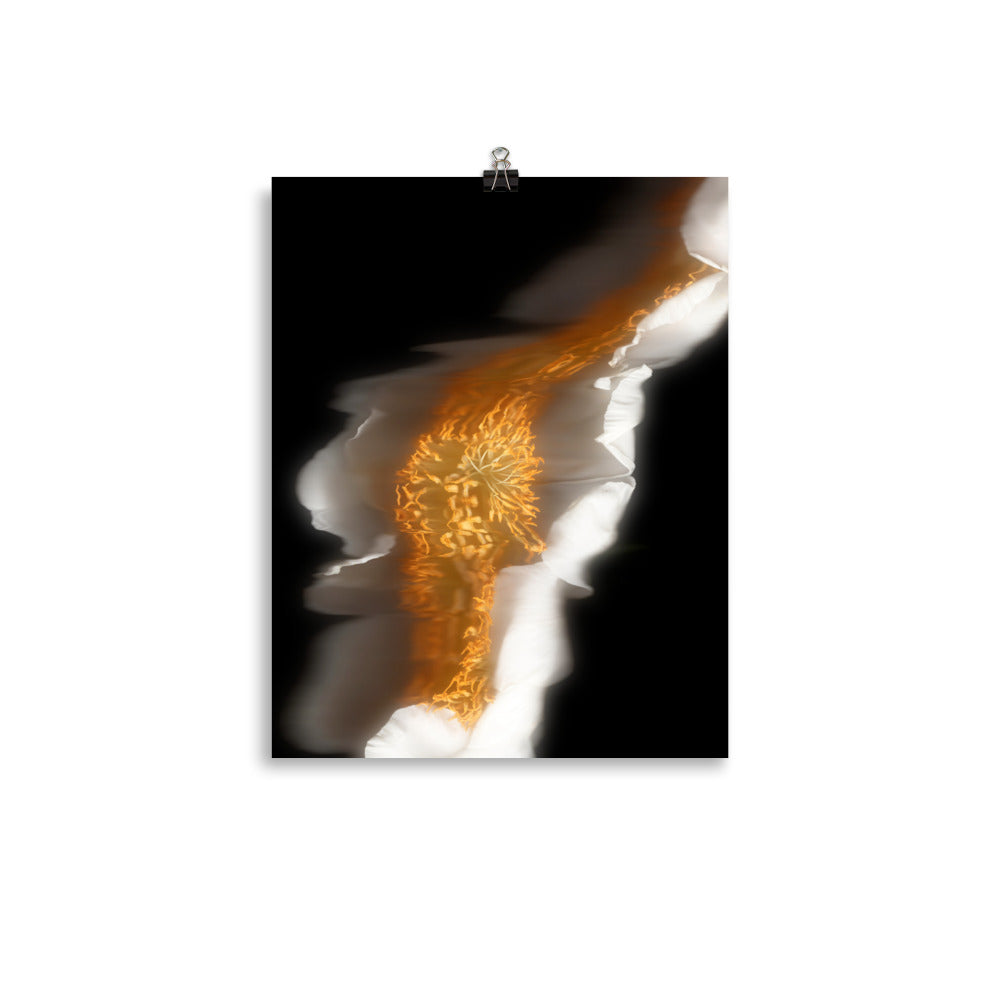 Glow Peony Scanography no. 1 Photo Paper Print