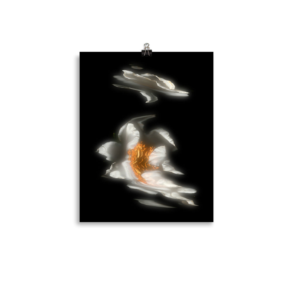 Glow Peony Scanography no. 2 Premium Luster Photo Paper Print