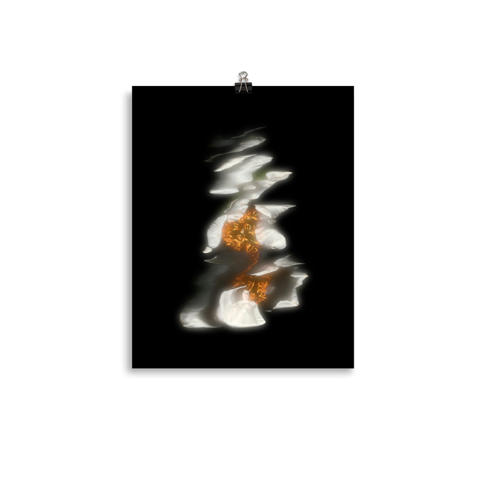 Glow Peony Scanography no. 3 Premium Luster Photo Paper Print