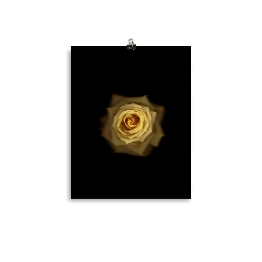 Elegant Yellow Rose Scanography Photo Paper Print