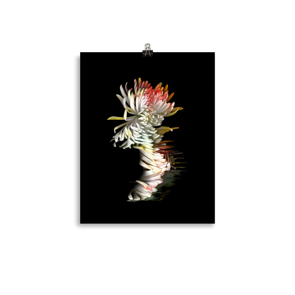 Rainbow Chrysanthemum no. 01 Scanography Photo Paper Print