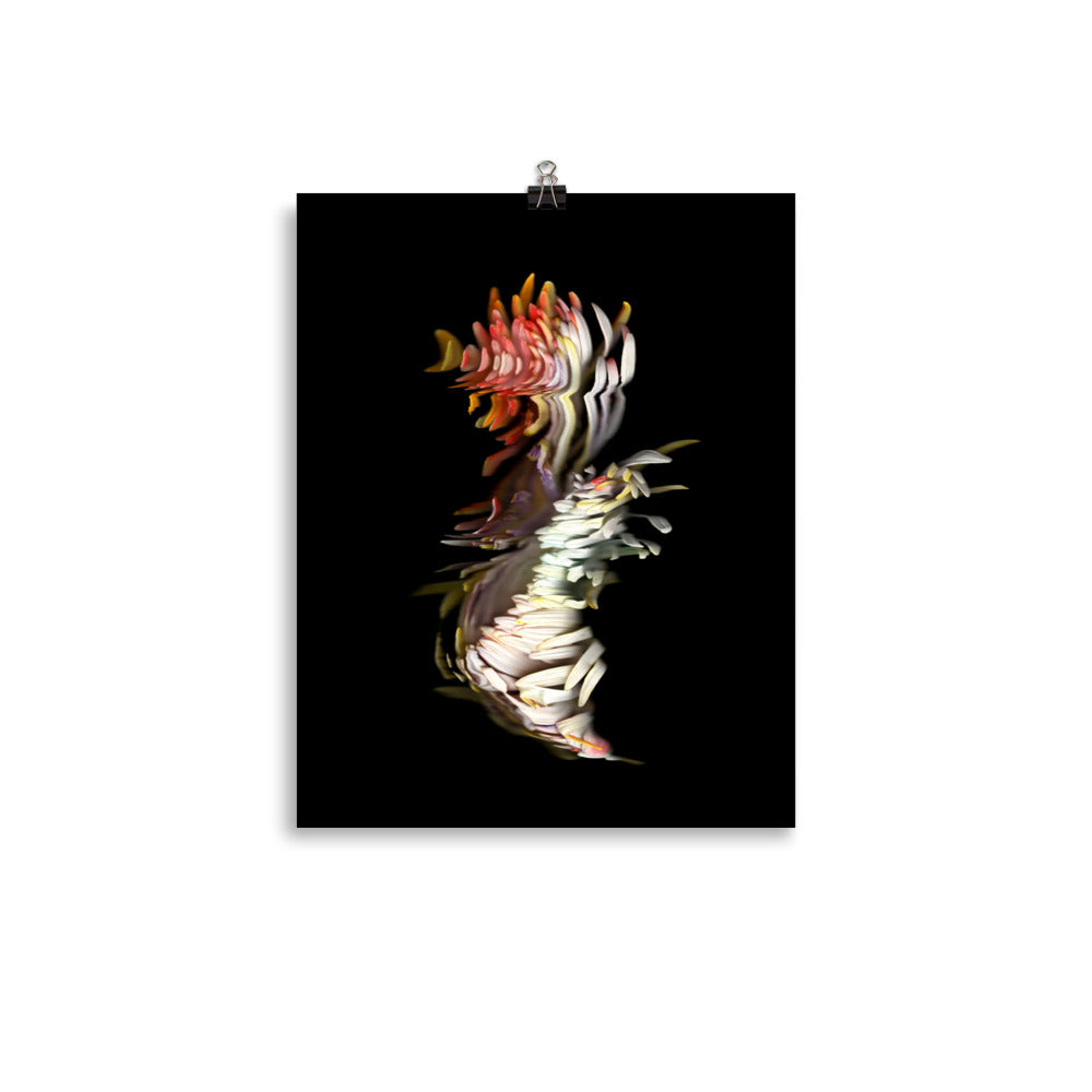 Rainbow Chrysanthemum no. 04 Scanography Premium Luster Photo Paper Print