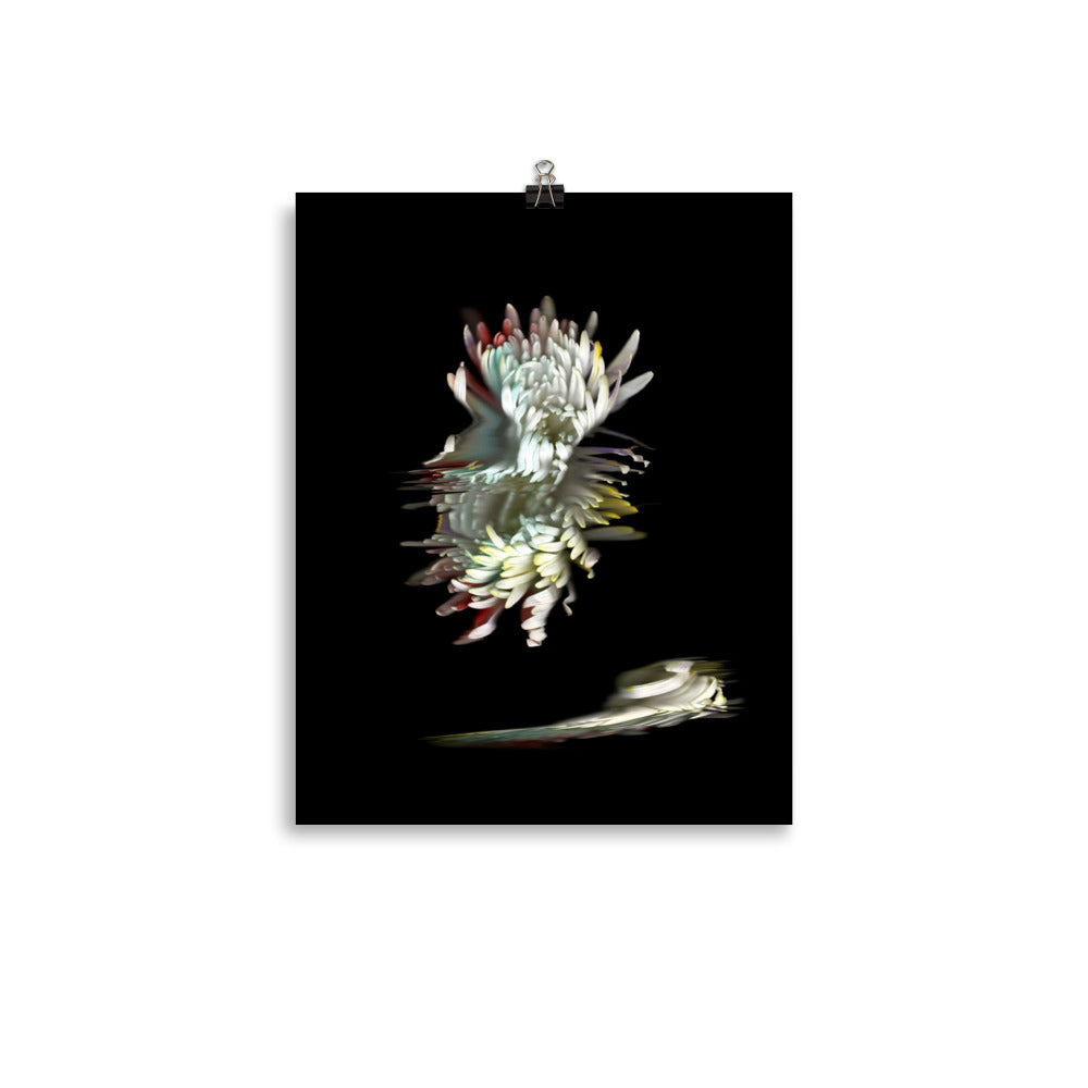 Rainbow Chrysanthemum no. 05 Scanography Premium Luster Photo Paper Print