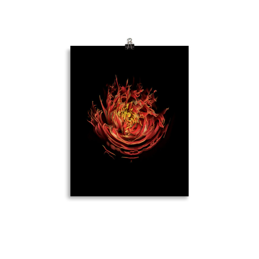 Dahlia Inferno Scanography Premium Luster Photo Paper Print
