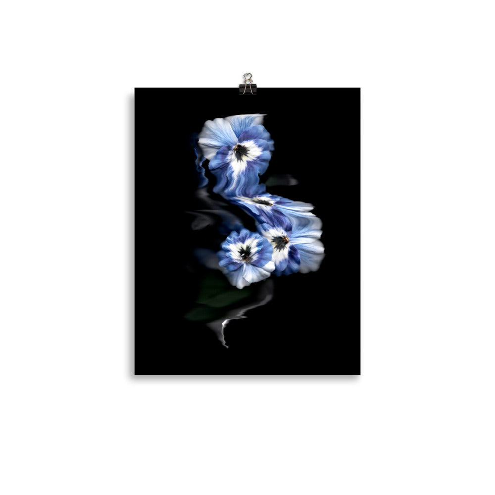 Azure Elegance Pansy Scanography Premium Luster Photo Print