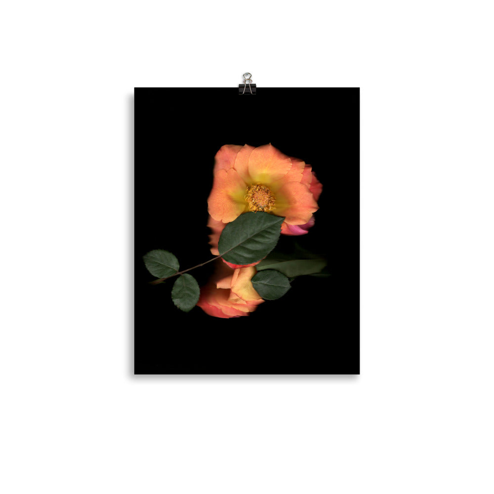 Rose Embrace Scanography Premium Luster Photo Paper Print