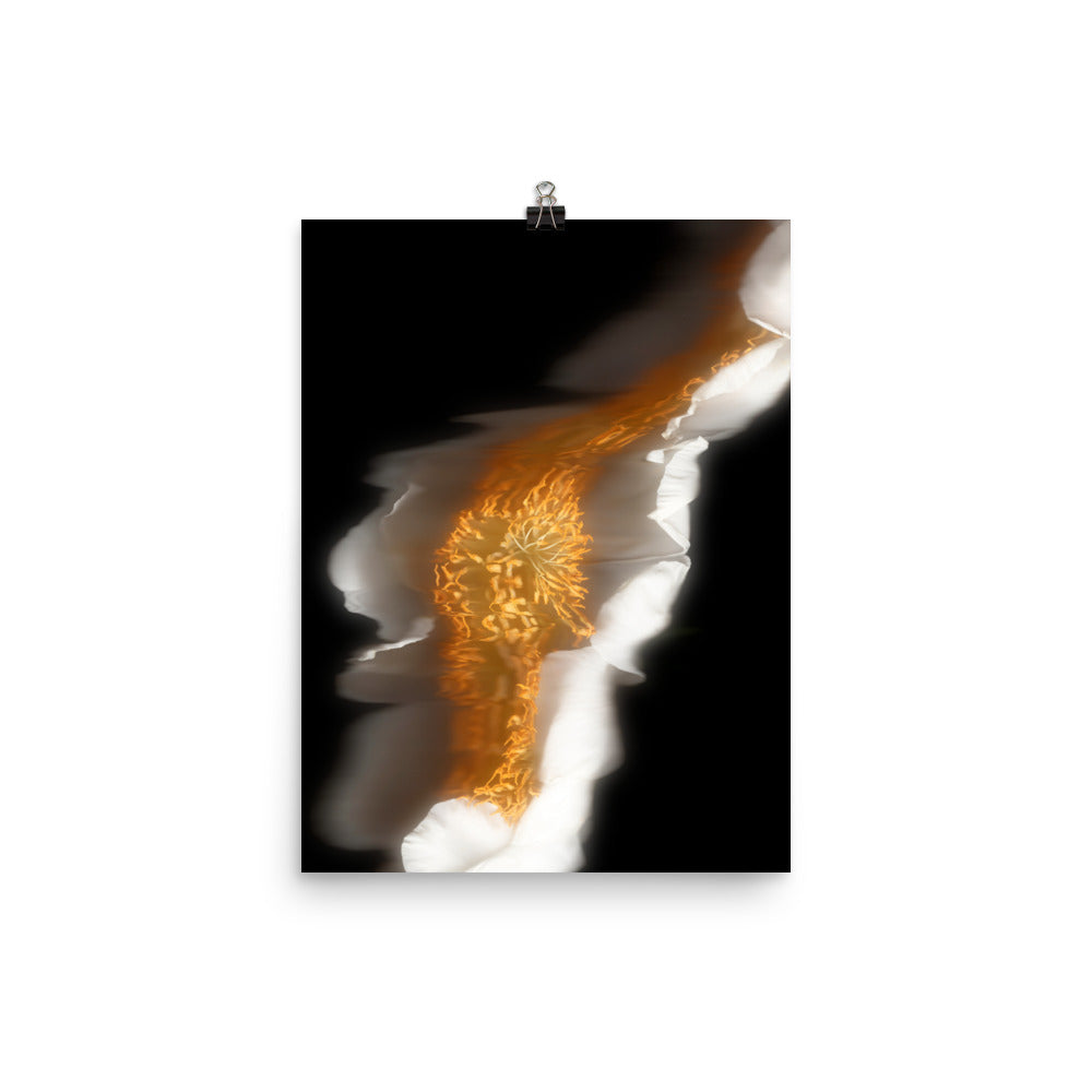 Glow Peony Scanography no. 1 Photo Paper Print