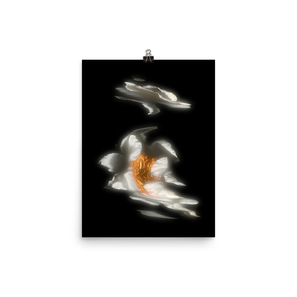 Glow Peony Scanography no. 2 Premium Luster Photo Paper Print