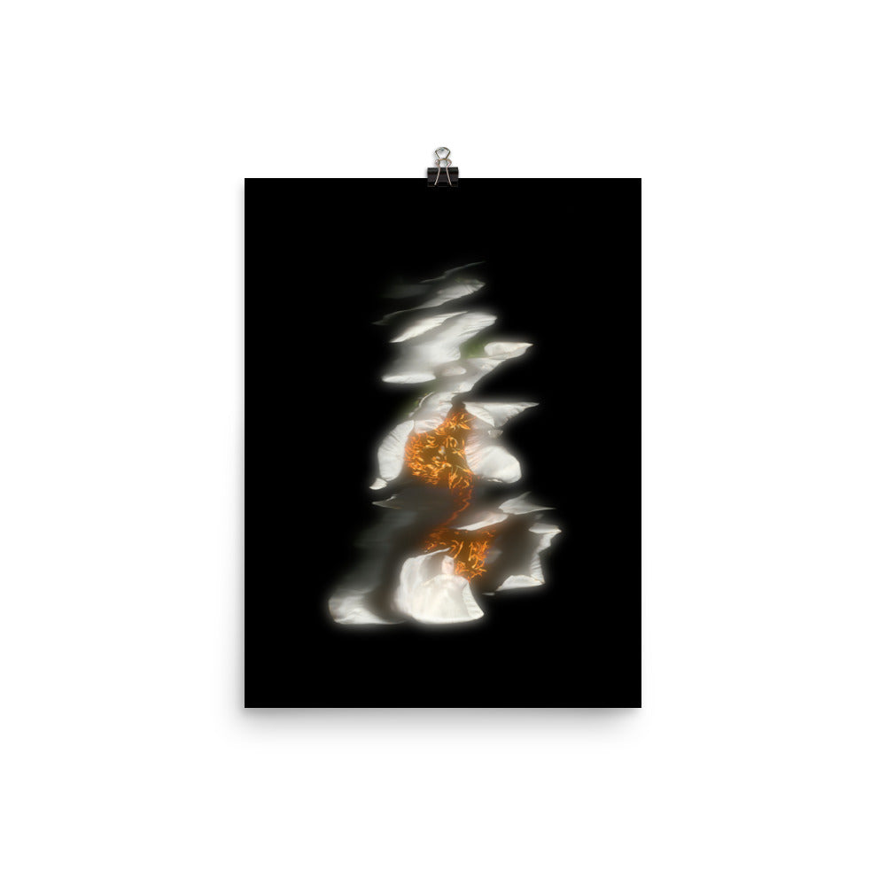 Glow Peony Scanography no. 3 Premium Luster Photo Paper Print