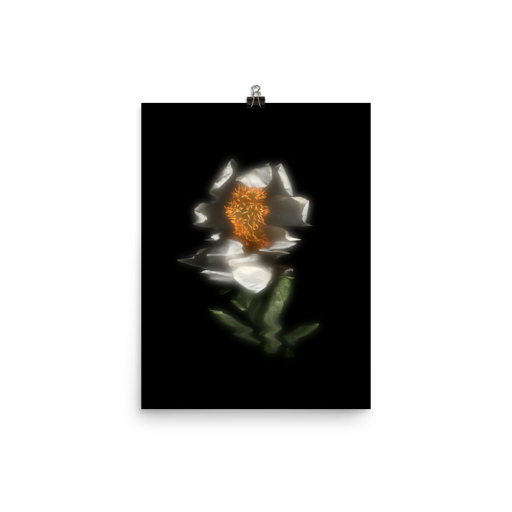 Glow Peony Scanography no. 4 Premium Luster Photo Paper Print