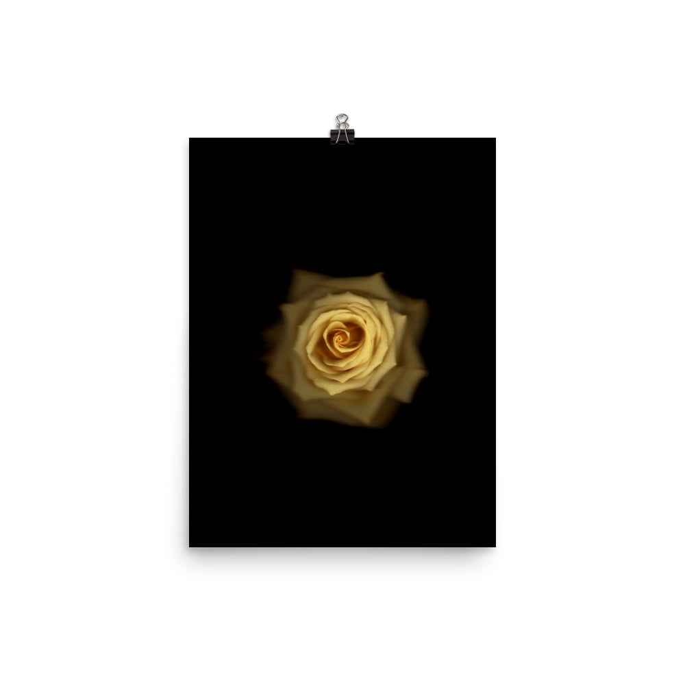 Elegant Yellow Rose Scanography Photo Paper Print