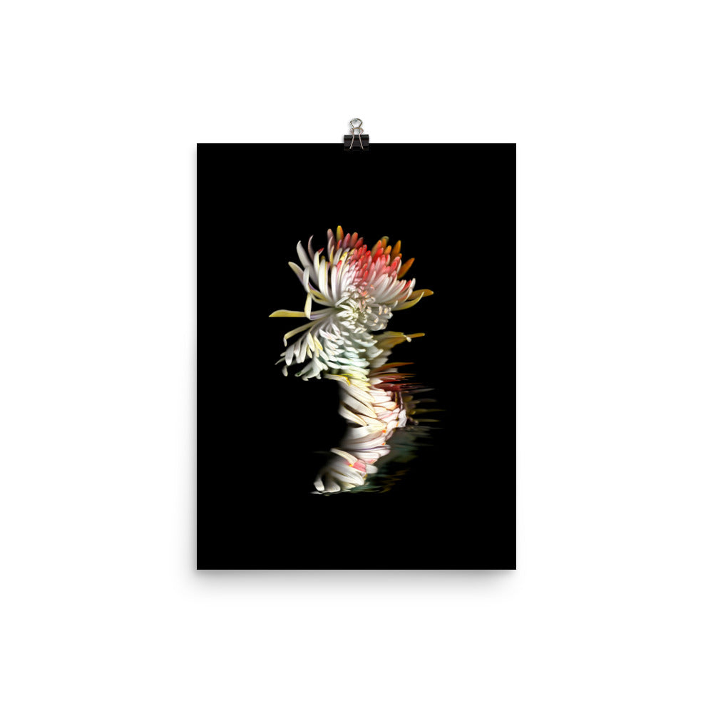 Rainbow Chrysanthemum no. 01 Scanography Photo Paper Print