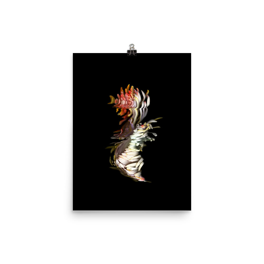 Rainbow Chrysanthemum no. 04 Scanography Premium Luster Photo Paper Print