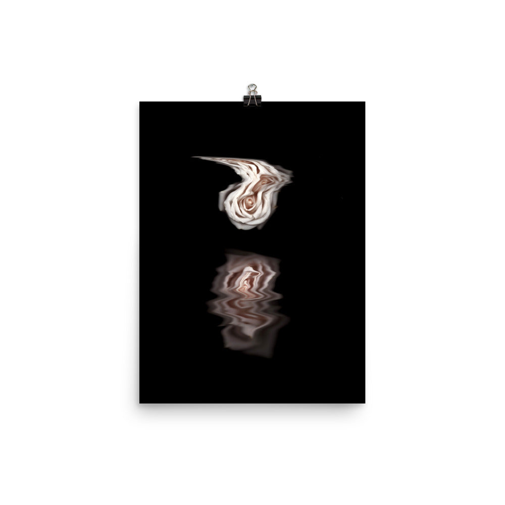 Pink Rose Mirage Scanography Premium Luster Photo Paper Print