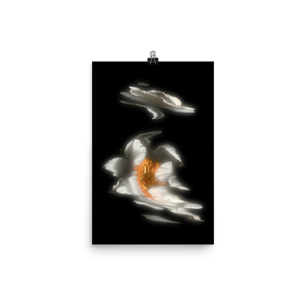 Glow Peony Scanography no. 2 Premium Luster Photo Paper Print